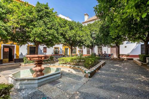 Spacious apartment historic center Santa Cruz