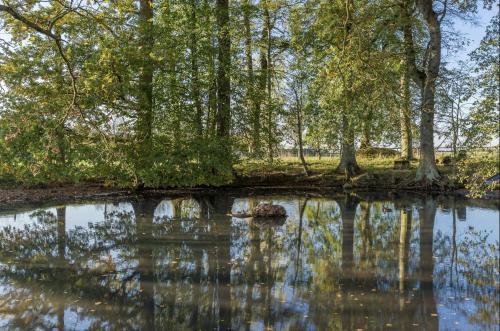 Paesaggio naturale nelle vicinanze del bed & breakfast