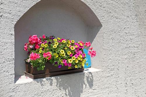 a window box with flowers on a wall at Bertollhof Apfelerlebnis in Silandro