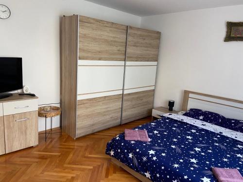 una camera da letto con un letto e una TV di Casa Cătoiu a Sibiu