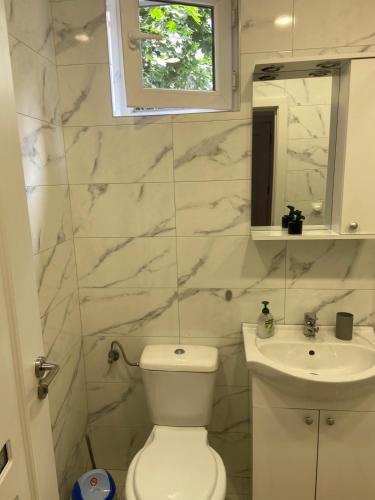 un bagno bianco con un water e un lavandino di Casa Cătoiu a Sibiu