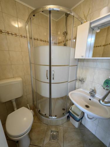 a bathroom with a shower and a toilet and a sink at Countryside Studio Apartment Valentina in Vrh