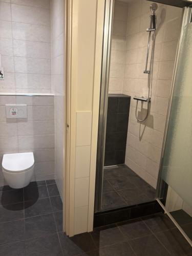 a bathroom with a toilet and a glass shower at Christinahoeve Logies in Boskoop