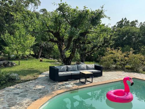 Κήπος έξω από το Estate with pool on 2 hectares in Balazuc