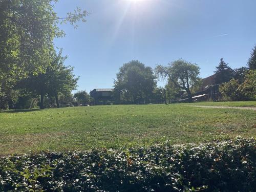 a field of grass with the sun in the background at Egon in Neuruppin