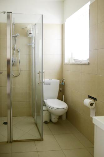 a bathroom with a toilet and a glass shower stall at Neot Semadar Eco Lodge in Naẖal Ya‘alon