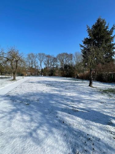 a snow covered road with a tree on it at Egon in Neuruppin