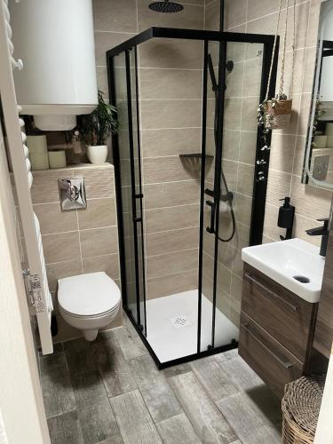 une salle de bain avec une douche, des toilettes et un lavabo dans l'établissement Pavilllon au calme à Lacanau Ocean, L'aubarède, à Lacanau