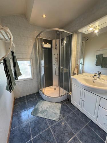 a bathroom with a shower and a sink at La petite Varenne 28 in La Chapelle-du-Noyer