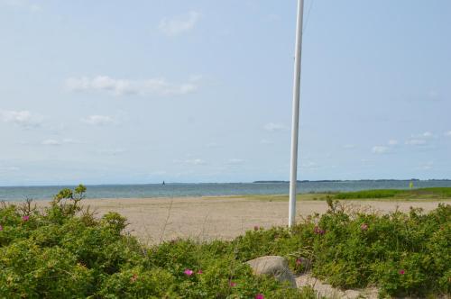 別荘の近くで見られる自然の景観