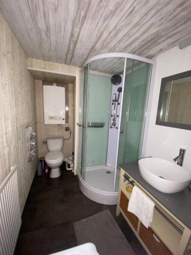 une salle de bain avec une douche, des toilettes et un lavabo dans l'établissement Joli appartement avec charme, à Cahors