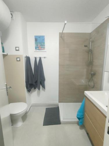 une salle de bain avec une douche, des toilettes et un lavabo dans l'établissement Bord de mer avec jardin, aux Lecques