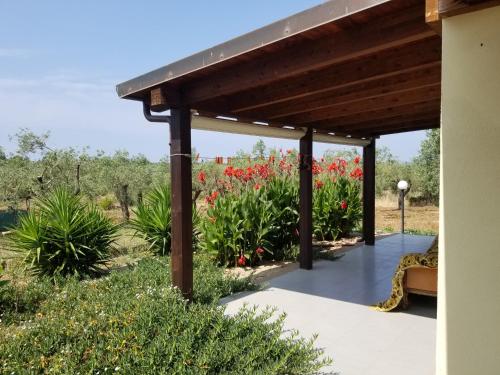 a wooden pergola with red flowers in the background at Bingo in Alghero