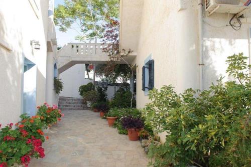 a courtyard with potted plants and a walkway at Izabella Studios Apartments in Pitsidia