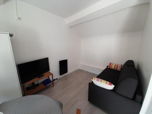 un salon avec un canapé et une télévision dans l'établissement Charmant studio a Bois le Roi avec parking prive, à Bois-le-Roi
