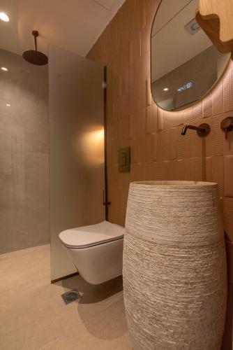 a bathroom with a toilet and a mirror at Villa Tierra in Kissamos
