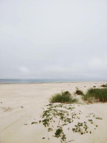 a beach with grass and weeds in the sand at Wooden House Close to the Beach in Pērkone