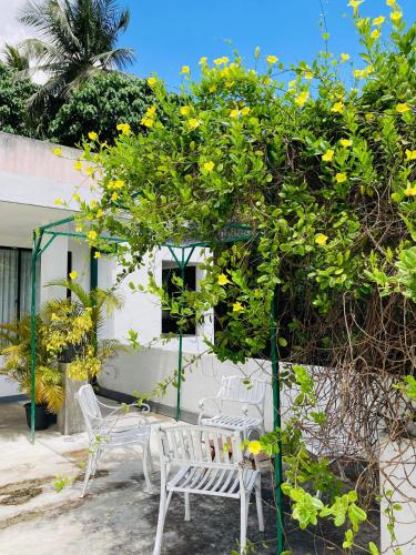 a group of chairs under a tree with yellow flowers at Town Hill in Kegalle