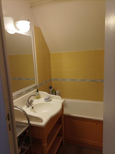 une salle de bain avec un lavabo et une baignoire dans l'établissement Maison Fort Mahon Belle Dune Village Vacances, à Fort-Mahon-Plage