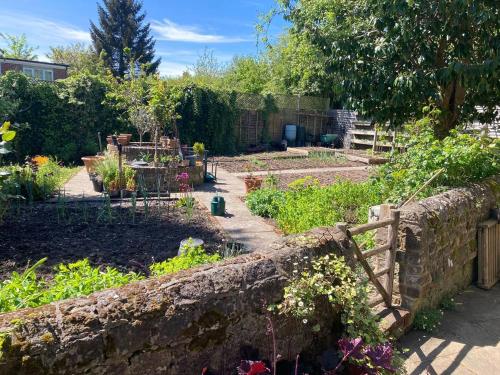 a garden with a stone wall and some plants at Borough Lee in Midhurst