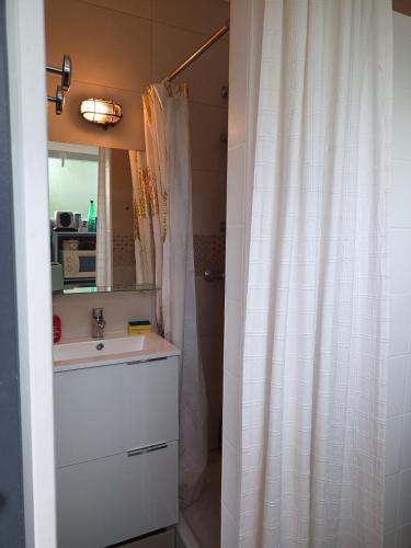 une salle de bain avec un lavabo et un rideau de douche dans l'établissement Studio tout confort avec terrasse, à Pau