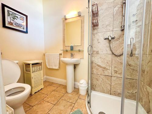 a bathroom with a shower and a toilet and a sink at Coach House Lodge in Lahinch
