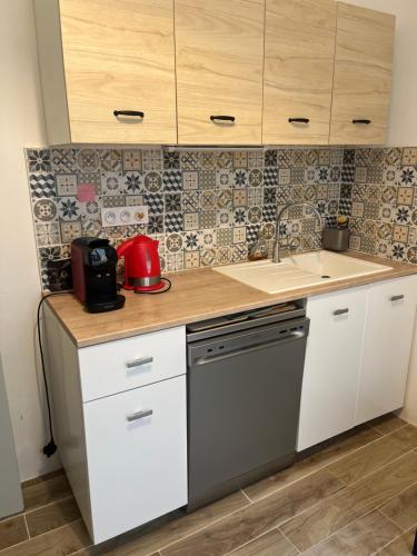 une cuisine avec un évier et un plan de travail dans l'établissement Magnifique T3 Art Deco Ecusson, à Montpellier