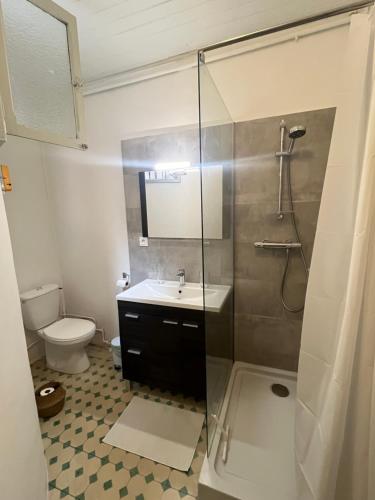 une salle de bain avec une douche, un lavabo et des toilettes dans l'établissement Magnifique T3 Art Deco Ecusson, à Montpellier