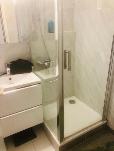 une salle de bain avec douche et lavabo dans l'établissement Pierre Vacances Appt 748 VUE MER, à Cannes