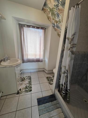 une salle de bain avec douche et lavabo dans l'établissement joli studio, à Saint-Marcellin