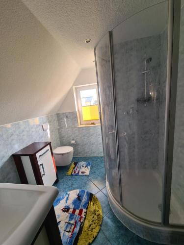 Un baño con ducha, lavabo e inodoro. en Ferienwohnung Seemöwe Usedom, en Heringsdorf