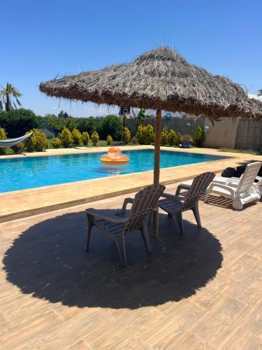 Bazén v ubytování Villa Berkania piscine privée - 8 pers nebo v jeho okolí