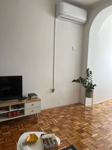 TV a/nebo společenská místnost v ubytování Apartman Vera