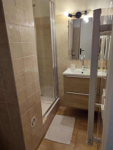 une salle de bain avec douche et lavabo dans l'établissement Studio Presqu'ile du Brusc - Gaou, à Six-Fours-les-Plages