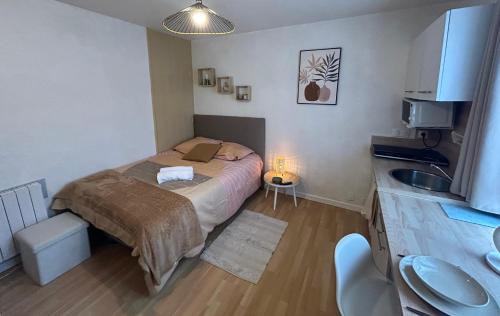 une petite chambre avec un lit et un lavabo dans l'établissement Le Cosy de Bellevue, à Caen
