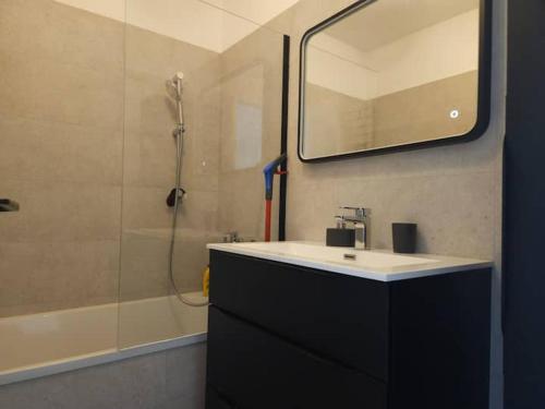 une salle de bain avec un lavabo et une douche avec un miroir dans l'établissement Antibes le Vauban grand 2 pièces parking, à Antibes