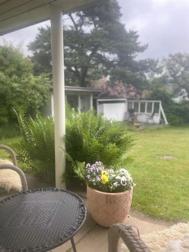 Κήπος έξω από το Nature-close guest room with garden - Private bath included