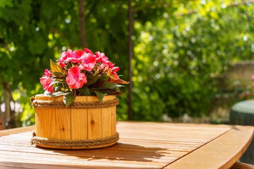 Jacuzzi Garden Retreat