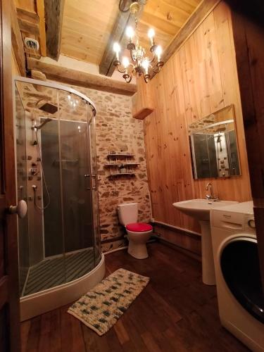 a bathroom with a shower and a toilet and a sink at maison médiéval pour six personnes in Saint-Benoît-du-Sault