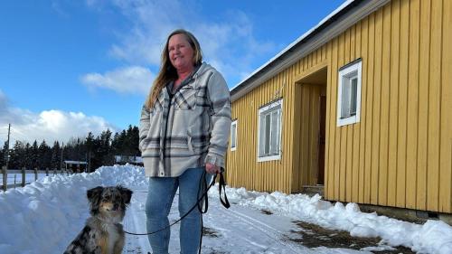 a woman standing next to a dog on a leash at Annexet 1 & 2 in Fränsta