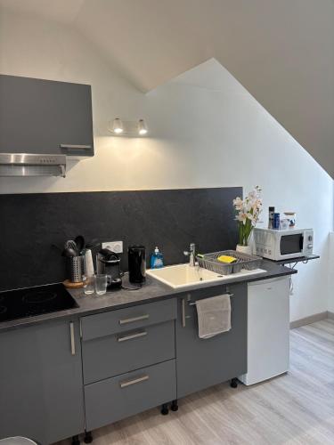 une cuisine avec un évier et un micro-ondes dans l'établissement Charming Plant Studio, à Rouen