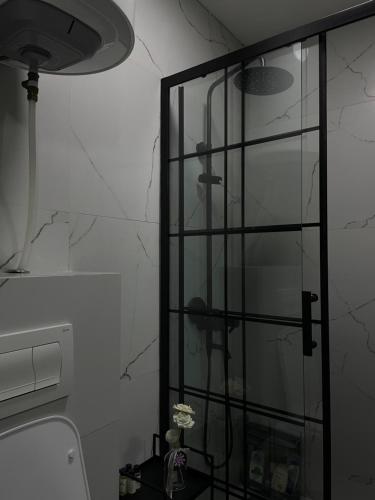 a bathroom with a glass cabinet next to a toilet at Nick Apartment in Pristina