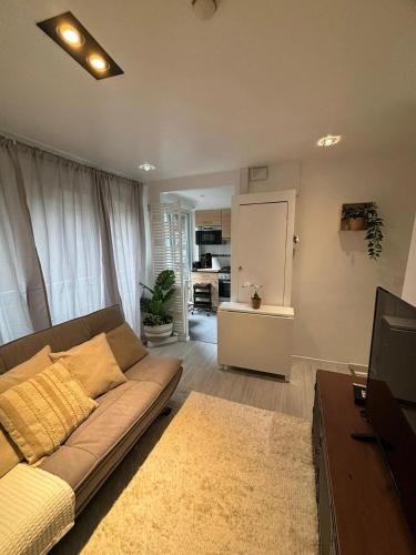 a living room with a couch and a television at Comfortable Apartment in Brussels, 35 m², 3 Persons in Brussels