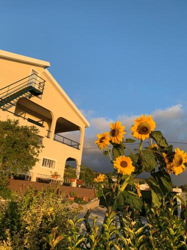 a bunch of sunflowers in front of a building at Casa do Prendinha A in Ponta do Pargo