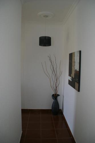 a black vase with a plant in a room at Casa do Prendinha A in Ponta do Pargo