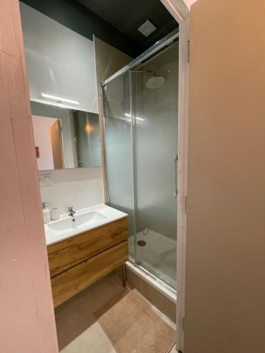 une salle de bain avec un lavabo et une douche dans l'établissement Studio Nemausus, à Nîmes
