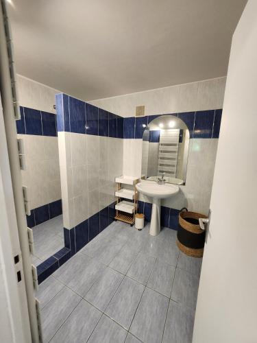 une salle de bain avec un lavabo et un miroir dans l'établissement Appart à 100 m Arcachon Golf, à La Teste-de-Buch