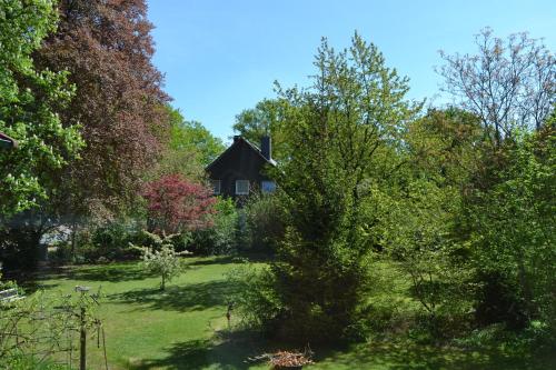 Taman di luar Ferienhaus Heidefee