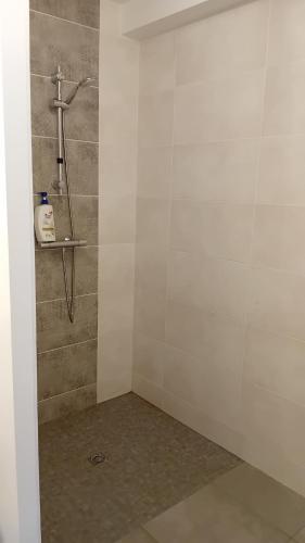 La salle de bains est pourvue d'une cabine de douche. dans l'établissement La Brocéliande 4 bedroom house, à Ploërmel