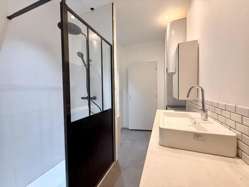 une salle de bain avec un lavabo et une douche dans l'établissement Grand appartement centre-ville, à Poitiers